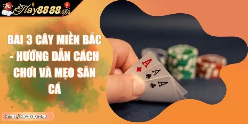 bai-3-cay-mien-bac