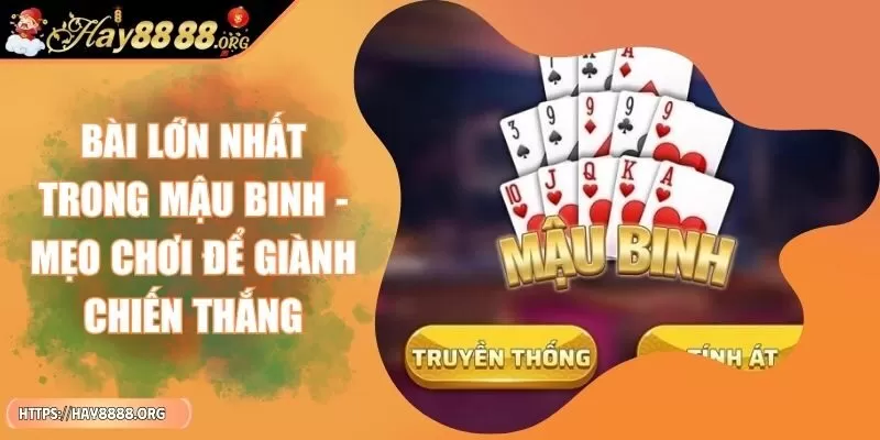 bai-lon-nhat-trong-mau-binh