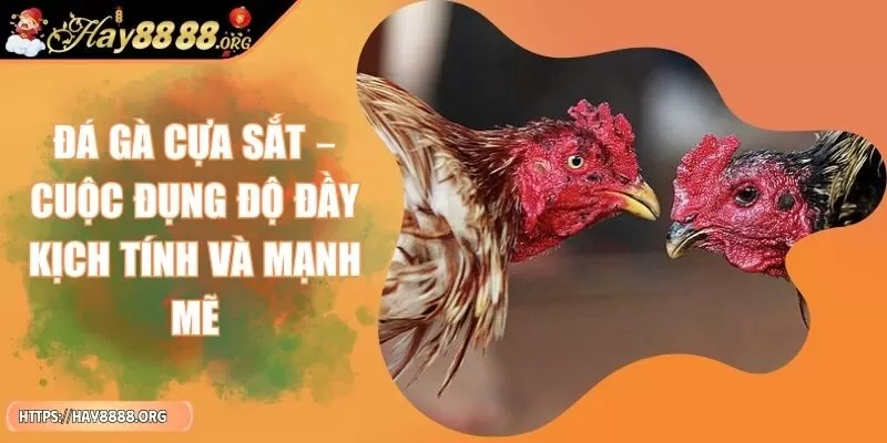 da-ga-cua-sat