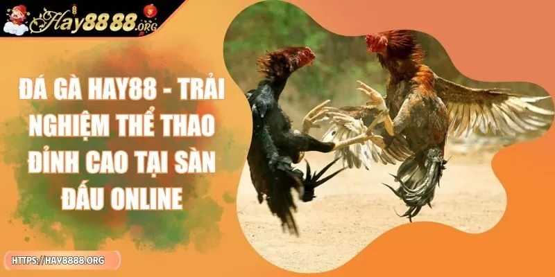 da-ga-hay88